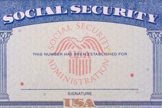 Social Security Numbers (SSNs) and Individual Taxpayer ID Numbers ...